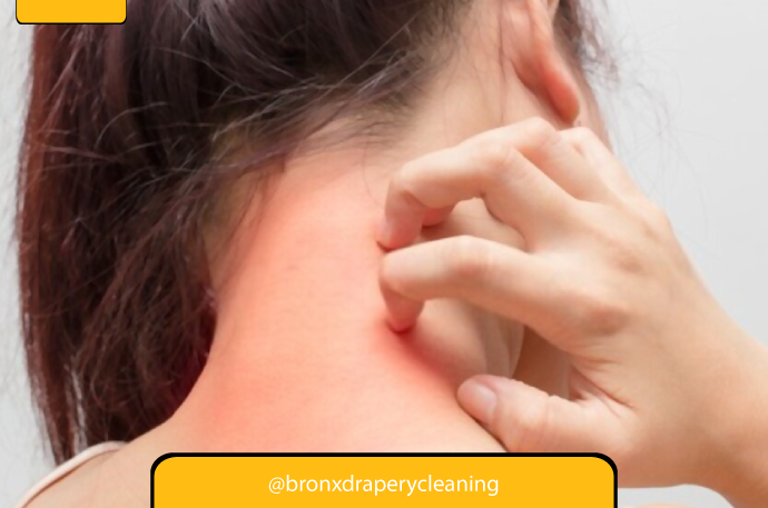 carpet cleaning in the Bronx, carpet cleaning in the Bronx, carpet cleaning the Bronx, carpet cleaners in the Bronx, carpet cleaners in the Bronx, commercial carpet cleaning, commercial carpet cleaning in the Bronx, the Bronx rug cleaners, rug cleaning services in the Bronx, same day carpet cleaning, same day rug cleaning