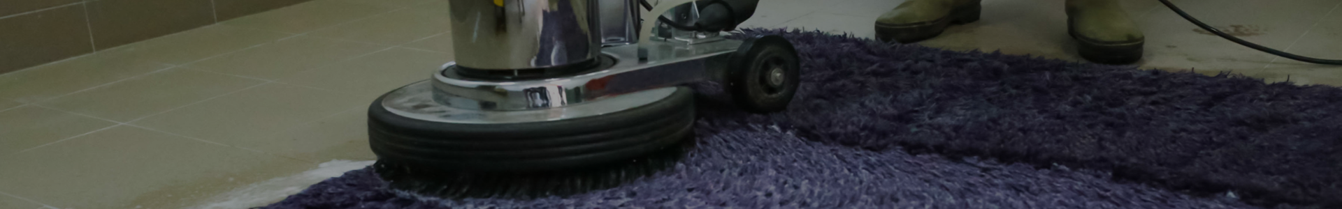 carpet cleaning in the Bronx, carpet cleaning in the Bronx, carpet cleaning the Bronx, carpet cleaners in the Bronx, carpet cleaners in the Bronx, commercial carpet cleaning, commercial carpet cleaning in the Bronx, the Bronx rug cleaners, rug cleaning services in the Bronx, same day carpet cleaning, same day rug cleaning