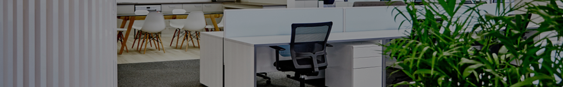 carpet cleaning in the Bronx, carpet cleaning in the Bronx, carpet cleaning the Bronx, carpet cleaners in the Bronx, carpet cleaners in the Bronx, commercial carpet cleaning, commercial carpet cleaning in the Bronx, the Bronx rug cleaners, rug cleaning services in the Bronx, same day carpet cleaning, same day rug cleaning