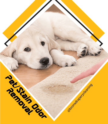 carpet cleaning in the Bronx, carpet cleaning in the Bronx, carpet cleaning the Bronx, carpet cleaners in the Bronx, carpet cleaners in the Bronx, commercial carpet cleaning, commercial carpet cleaning in the Bronx, the Bronx rug cleaners, rug cleaning services in the Bronx, same day carpet cleaning, same day rug cleaning