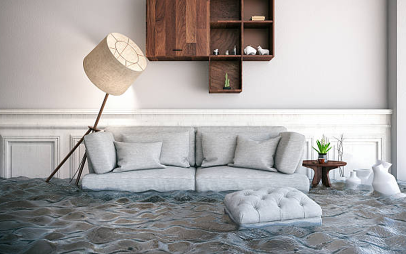 carpet cleaning in the Bronx, carpet cleaning in the Bronx, carpet cleaning the Bronx, carpet cleaners in the Bronx, carpet cleaners in the Bronx, commercial carpet cleaning, commercial carpet cleaning in the Bronx, the Bronx rug cleaners, rug cleaning services in the Bronx, same day carpet cleaning, same day rug cleaning